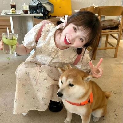 走进炮火中
